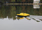 Radio Control DEVICT bait boat DEVC-303M Remote Frequency